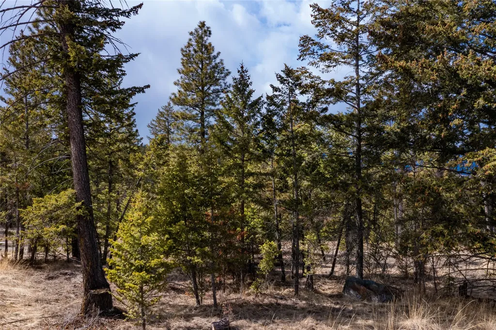 1243 Tobacco Valley View Road Eureka MT 59917