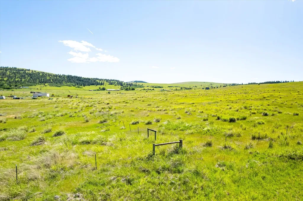 Nhn Walking Horse Lane Big Arm MT 59910