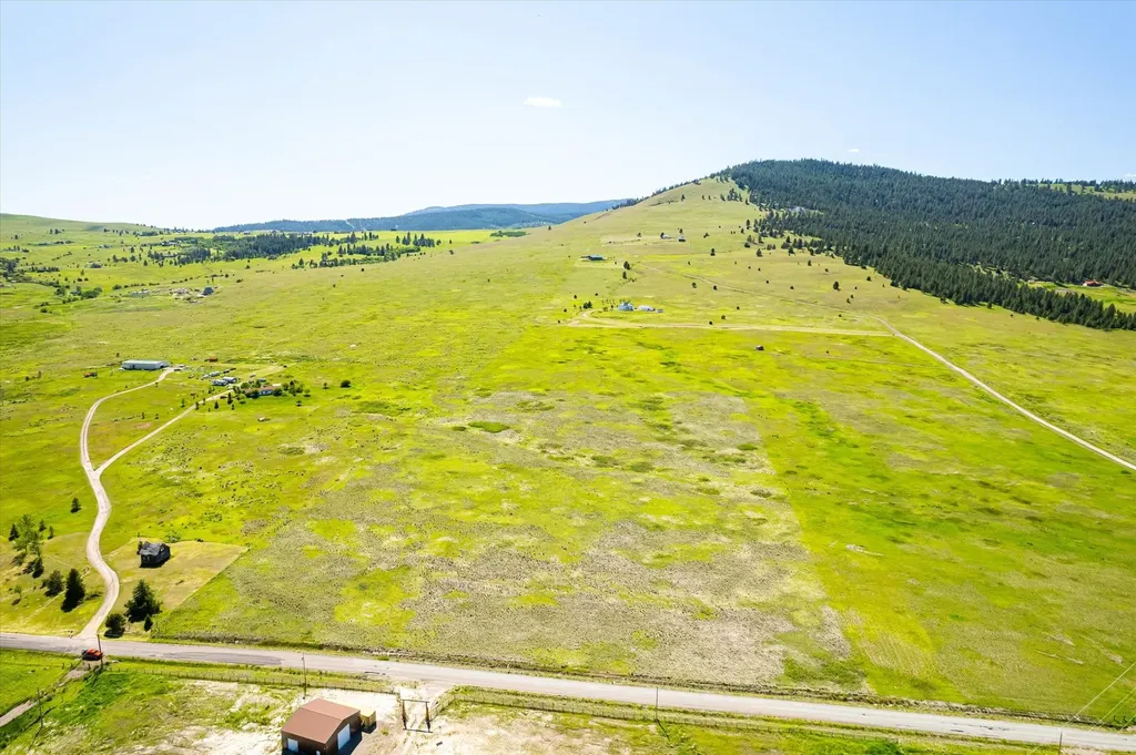 Nhn Walking Horse Lane Big Arm MT 59910