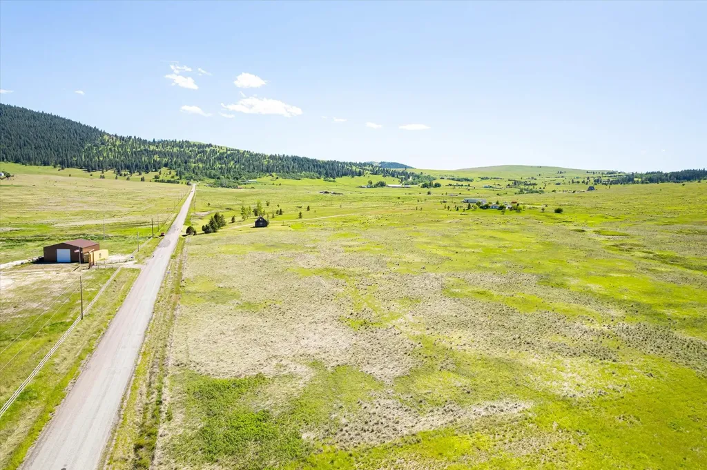 Nhn Walking Horse Lane Big Arm MT 59910