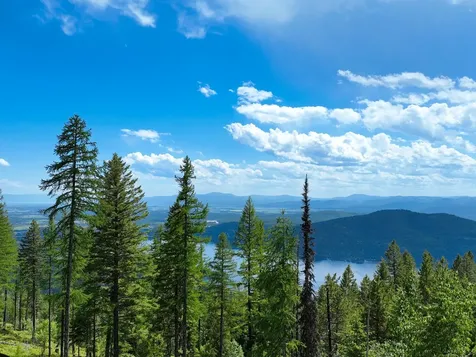 269 Medicine Rock Drive Whitefish MT 59937