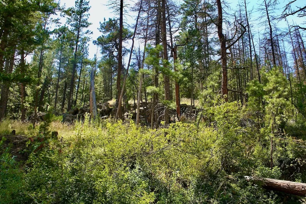 00 Box Canyon Lane Cascade MT 59421