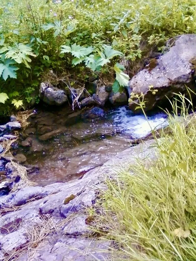 00 Box Canyon Lane Cascade MT 59421