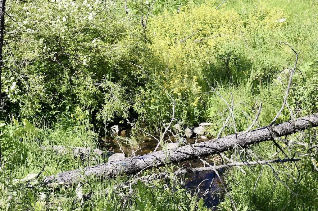 00 Box Canyon Lane Cascade MT 59421