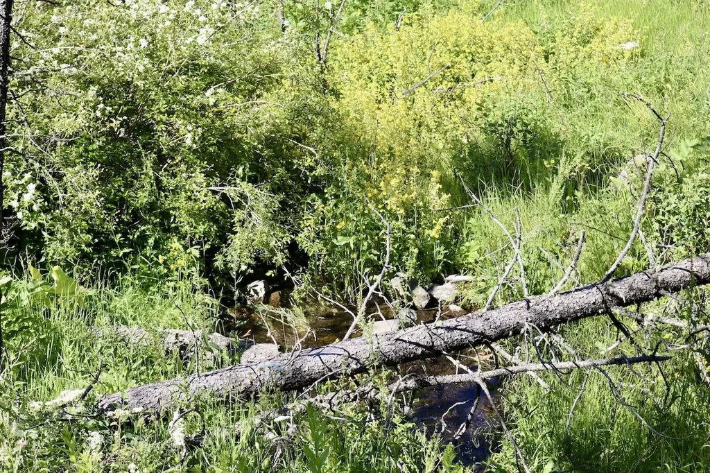 00 Box Canyon Lane Cascade MT 59421