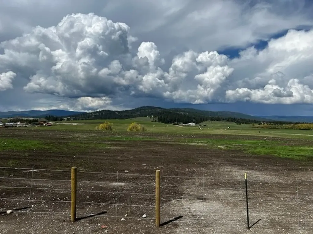 212 W Springcreek Road Kalispell MT 59901