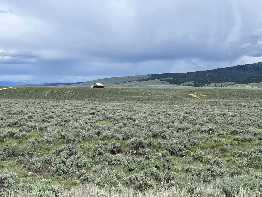 Tract 10 Steel Creek Road Wisdom MT 59761