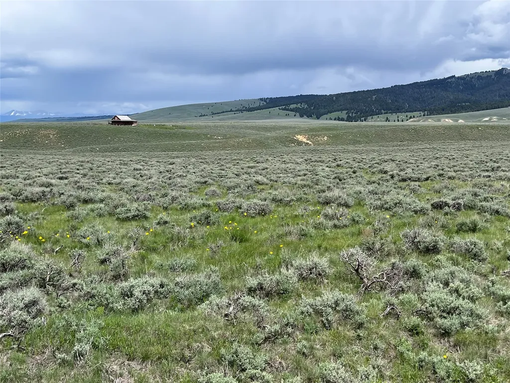 Tract 10 Steel Creek Road Wisdom MT 59761
