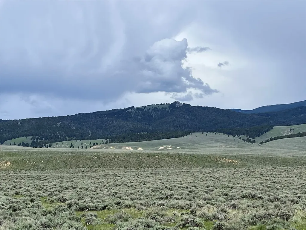 Tract 10 Steel Creek Road Wisdom MT 59761