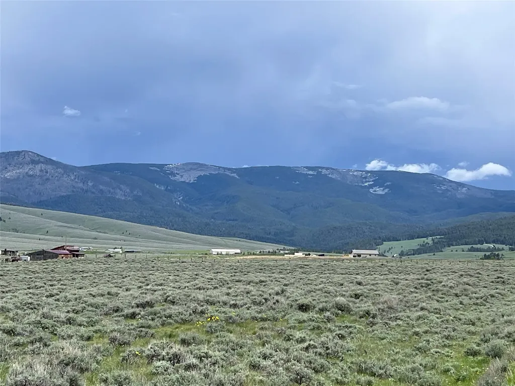 Tract 10 Steel Creek Road Wisdom MT 59761
