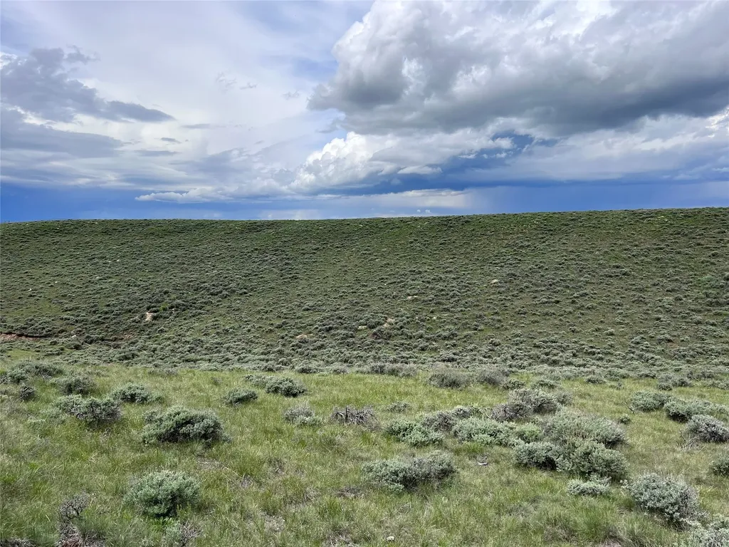 Tract 11 Steel Creek Road Wisdom MT 59761