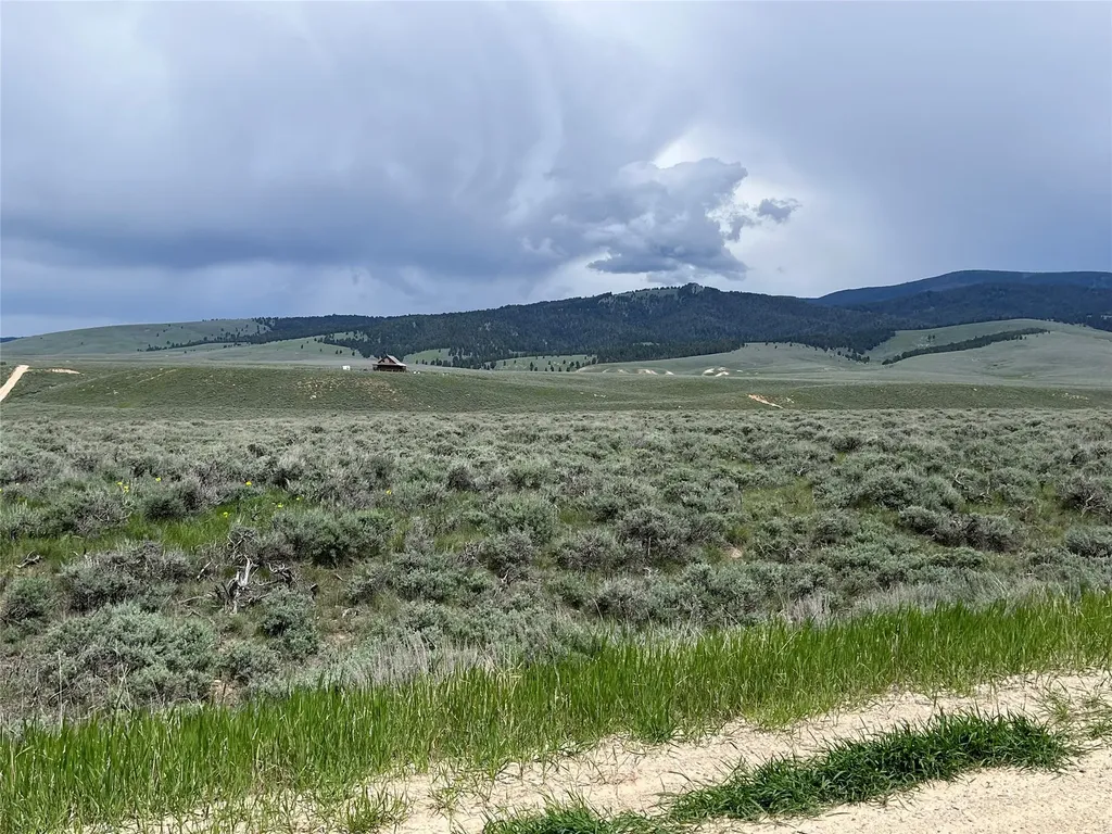 Tract 11 Steel Creek Road Wisdom MT 59761