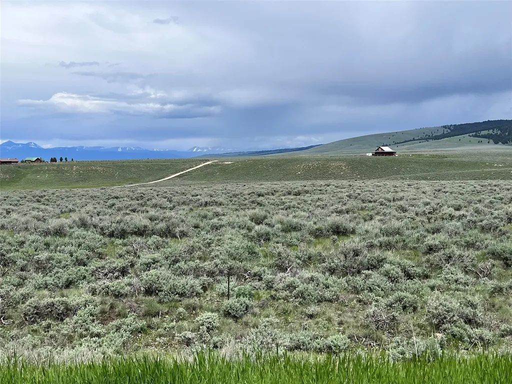 Tract 11 Steel Creek Road Wisdom MT 59761