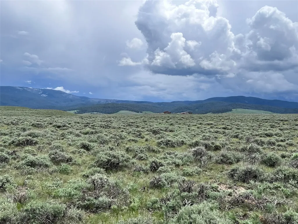 Tract 11 Steel Creek Road Wisdom MT 59761