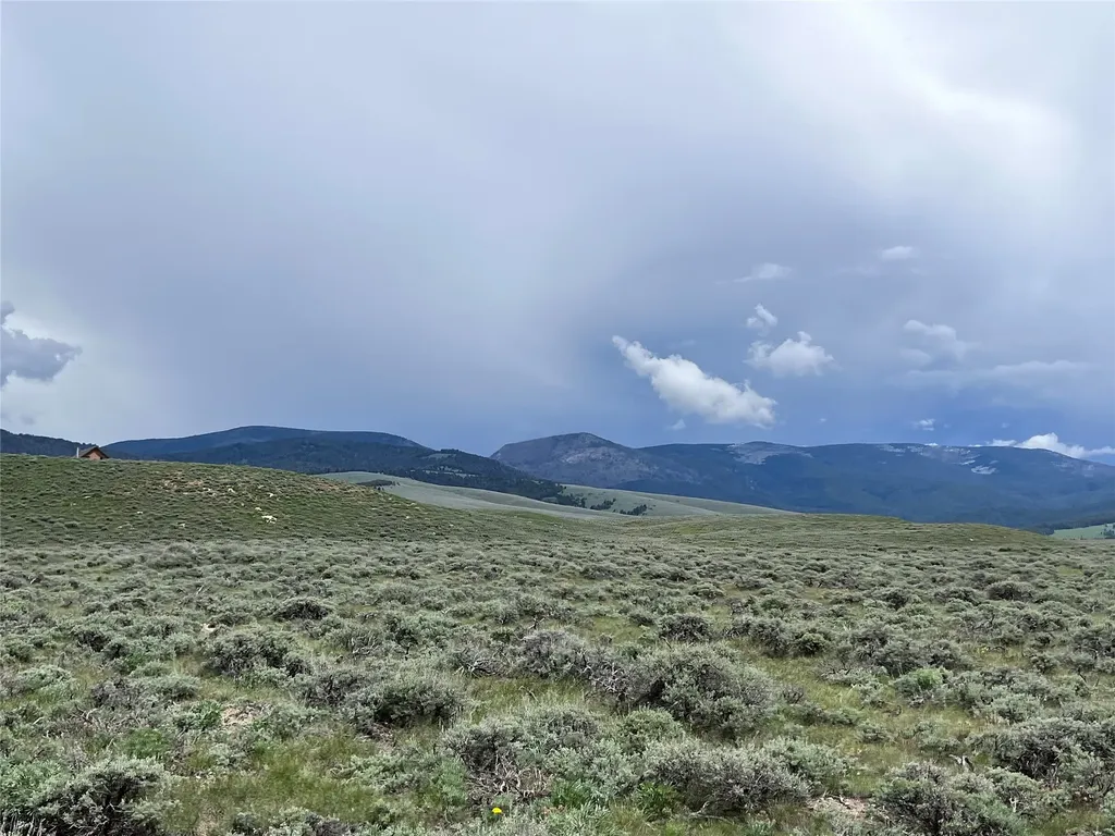 Tract 11 Steel Creek Road Wisdom MT 59761