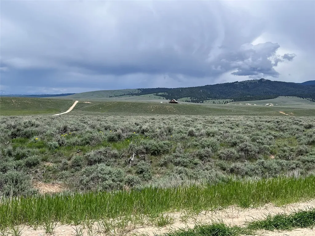 Tract 11 Steel Creek Road Wisdom MT 59761
