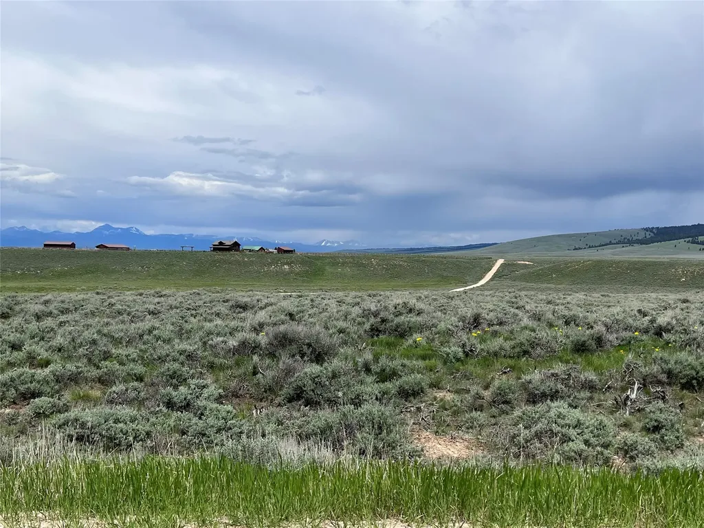 Tract 11 Steel Creek Road Wisdom MT 59761