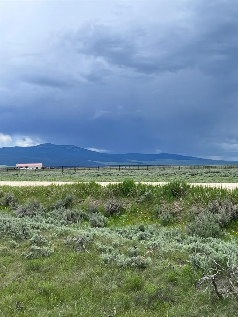 Tract 21 Steel Creek Road Wisdom MT 59761