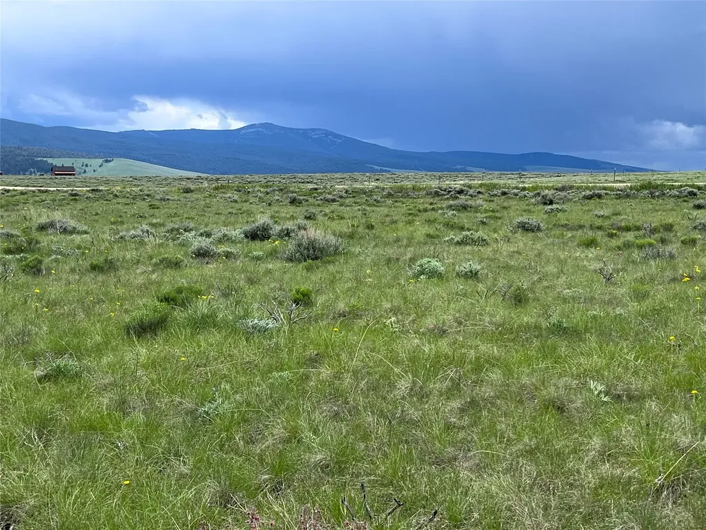 Tract 21 Steel Creek Road Wisdom MT 59761