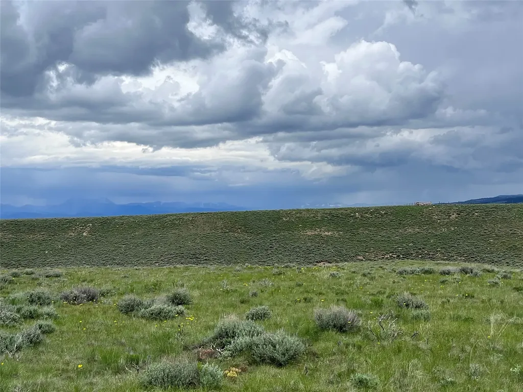 Tract 21 Steel Creek Road Wisdom MT 59761