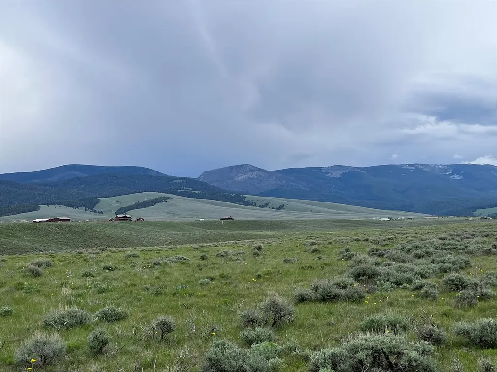 Tract 21 Steel Creek Road Wisdom MT 59761
