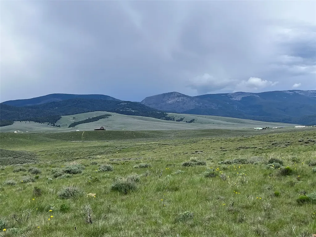 Tract 21 Steel Creek Road Wisdom MT 59761