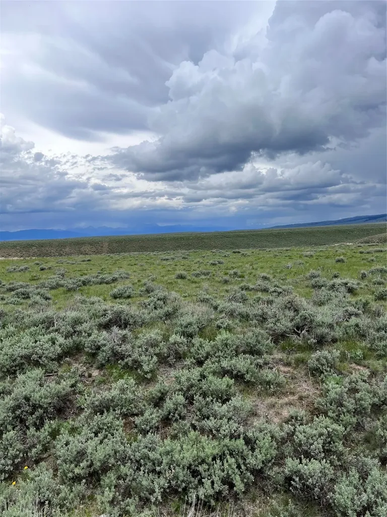 Tract 22 Steel Creek Road Wisdom MT 59761