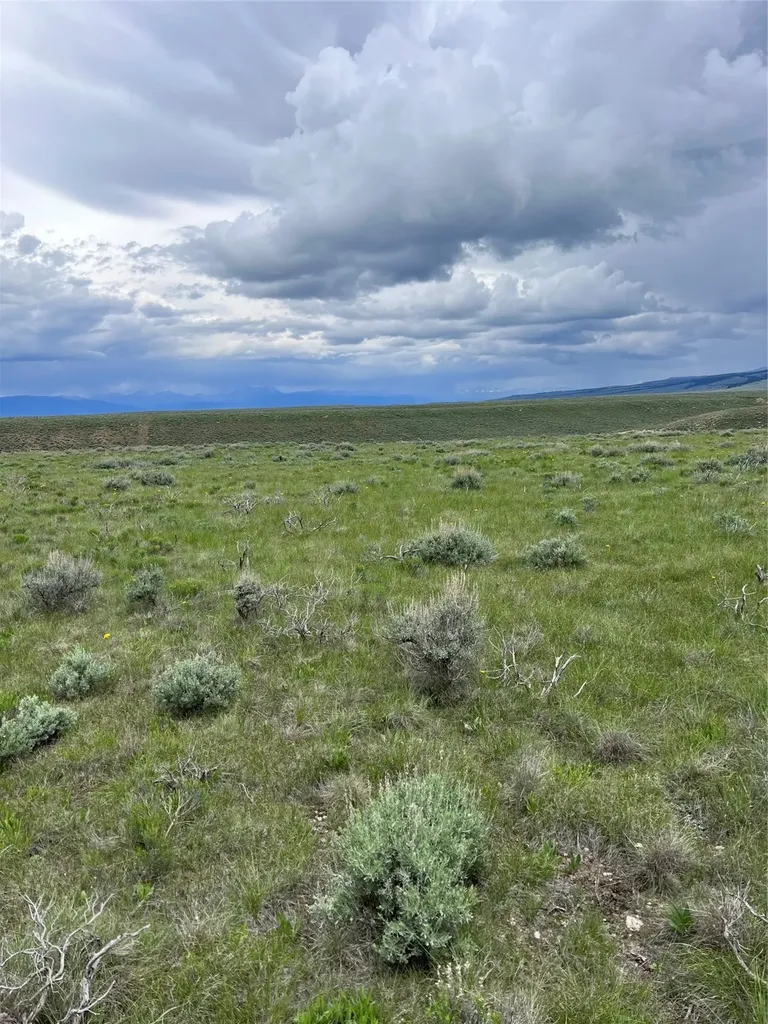 Tract 22 Steel Creek Road Wisdom MT 59761