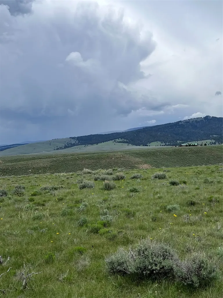 Tract 22 Steel Creek Road Wisdom MT 59761