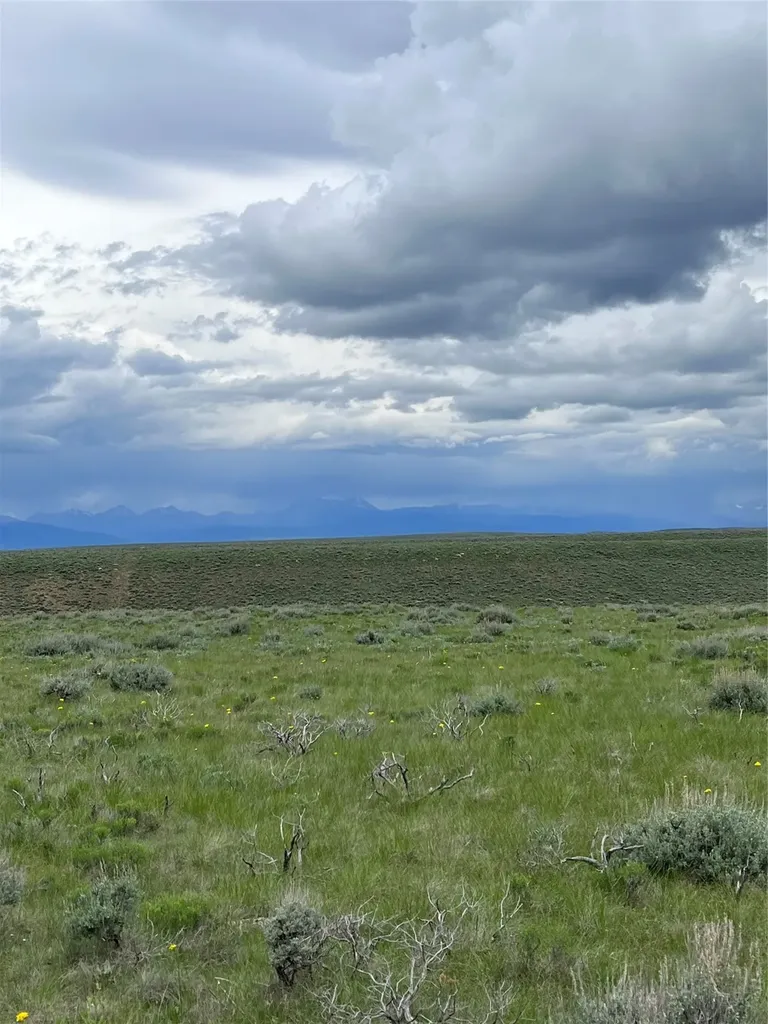 Tract 22 Steel Creek Road Wisdom MT 59761