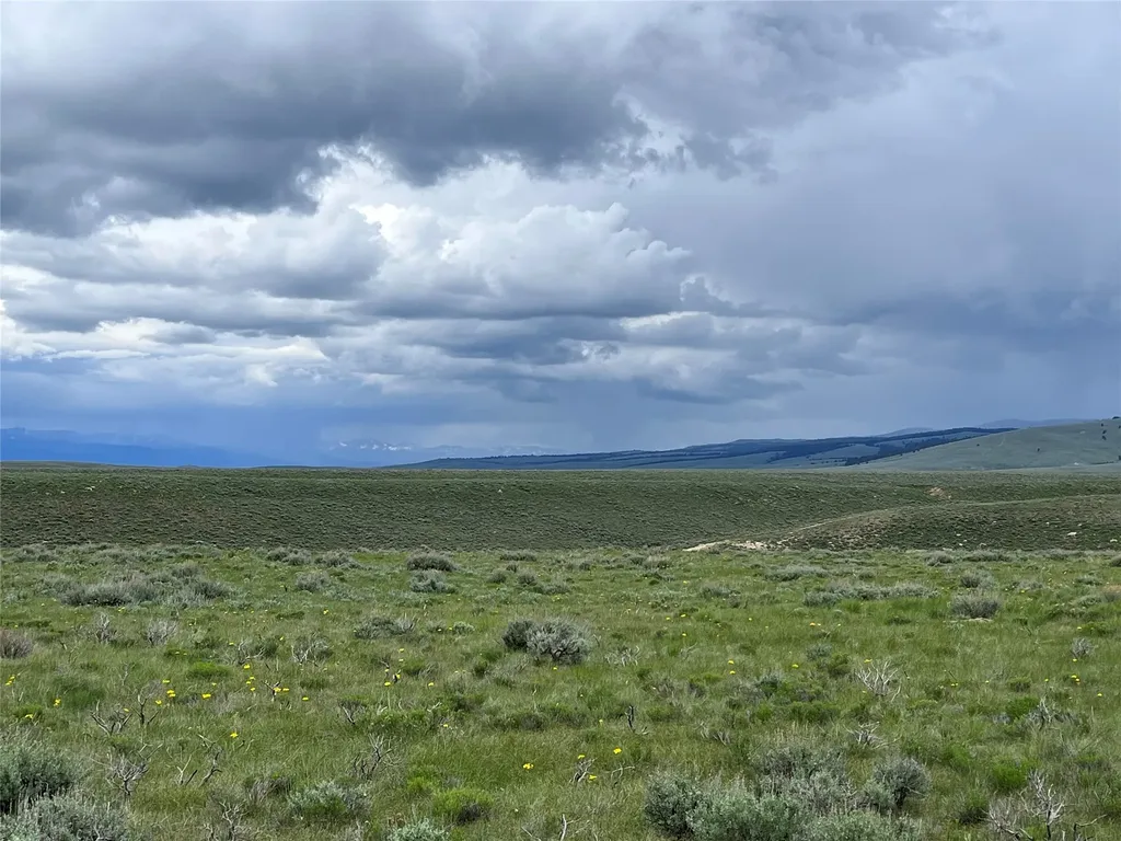Tract 22 Steel Creek Road Wisdom MT 59761