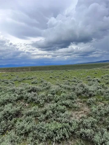 Tract 22 Steel Creek Road Wisdom MT 59761