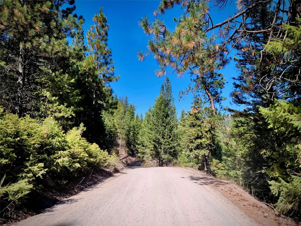Nhn W Mountain Creek Road Alberton MT 59820