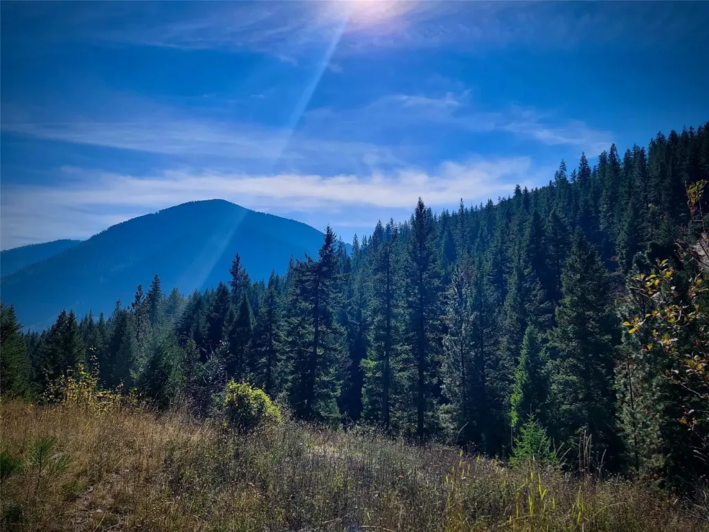 Nhn W Mountain Creek Road Alberton MT 59820
