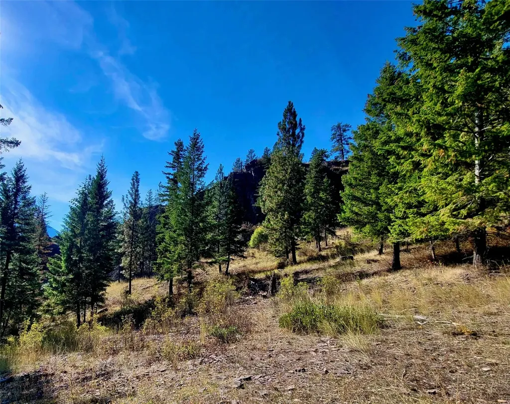 Nhn W Mountain Creek Road Alberton MT 59820