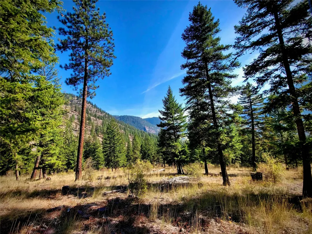 Nhn W Mountain Creek Road Alberton MT 59820