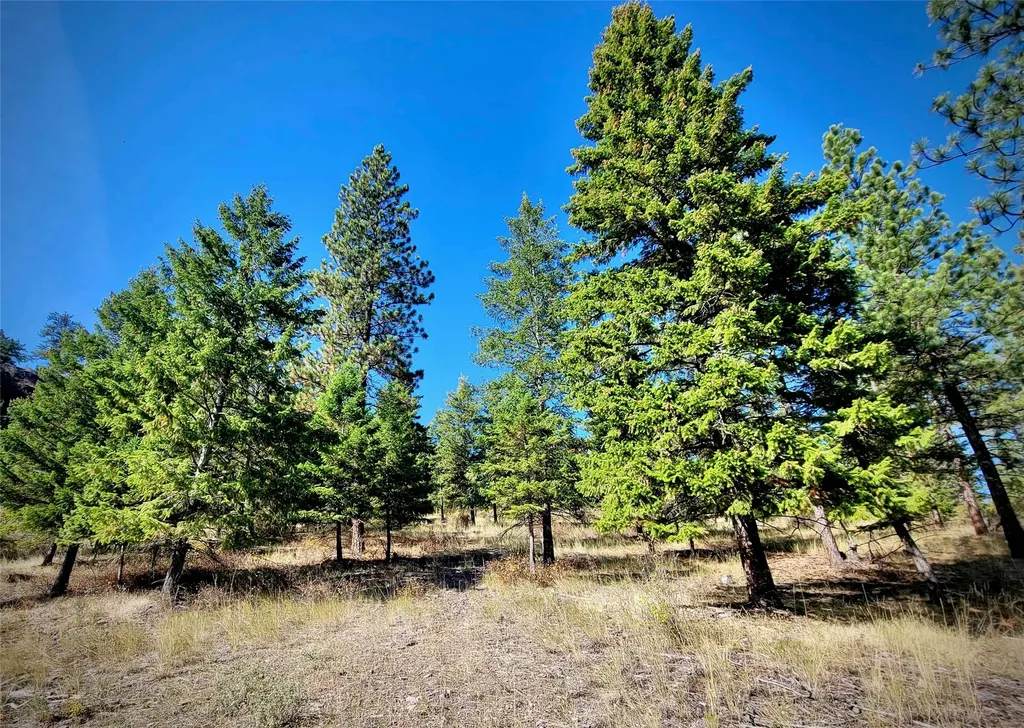 Nhn W Mountain Creek Road Alberton MT 59820