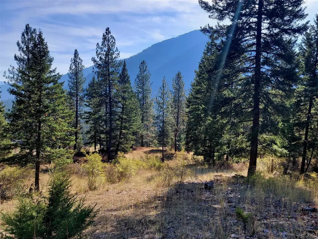 Nhn W Mountain Creek Road Alberton MT 59820