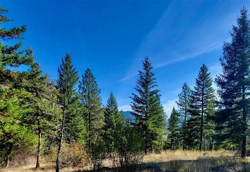 Nhn W Mountain Creek Road Alberton MT 59820