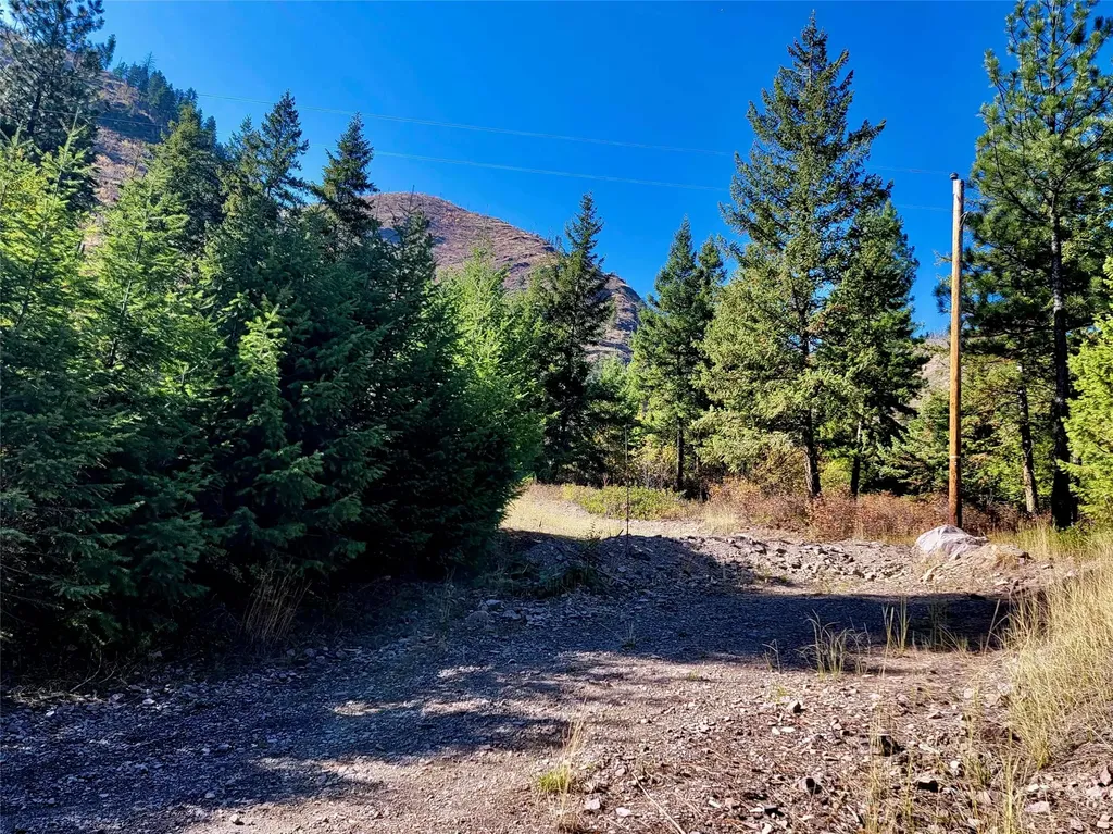 Nhn W Mountain Creek Road Alberton MT 59820