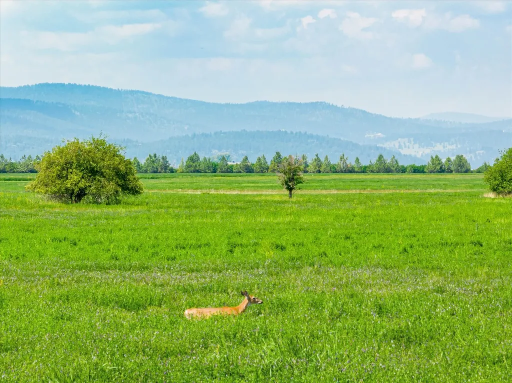 3828 Lower Valley Road Kalispell MT 59901