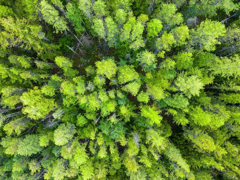 Nhn W Swan Shores Road Bigfork MT 59911