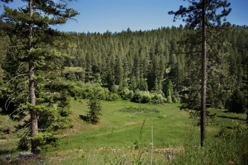 Tbd Eight Mile Creek Road Florence MT 59833