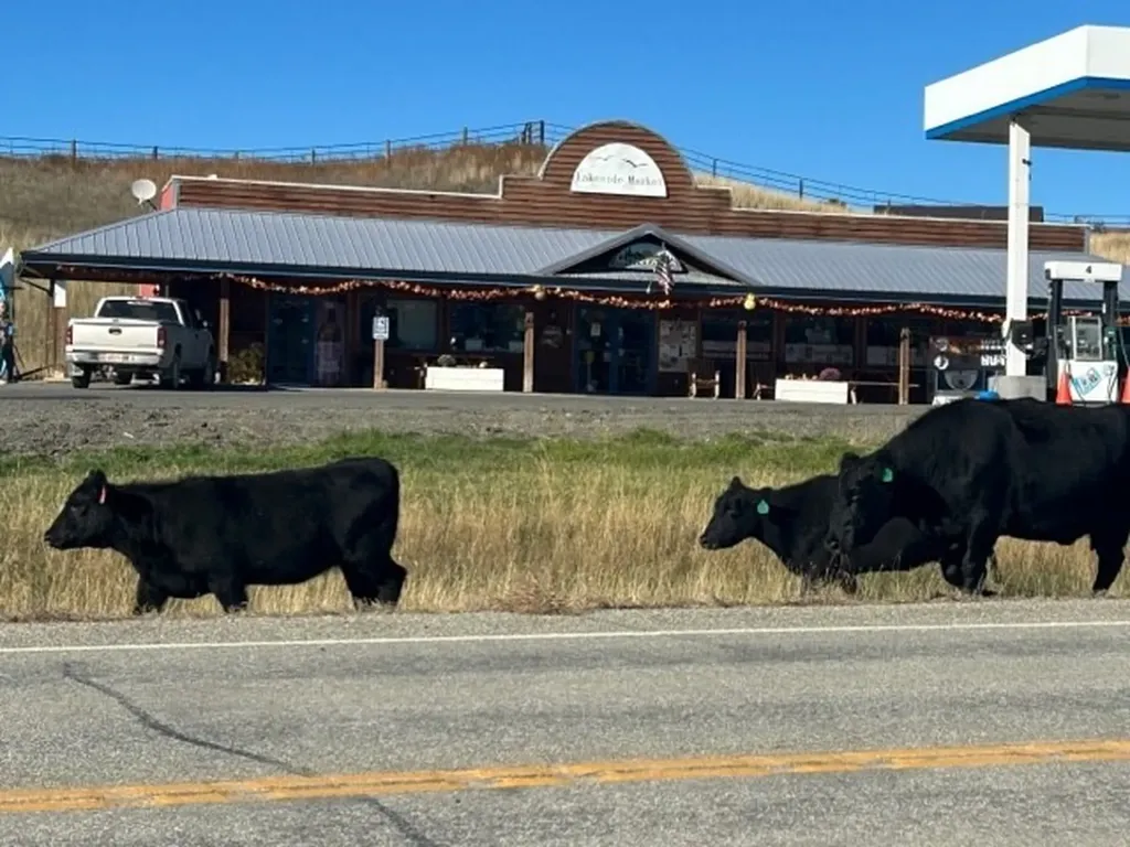 5330 York Road Helena MT 59602