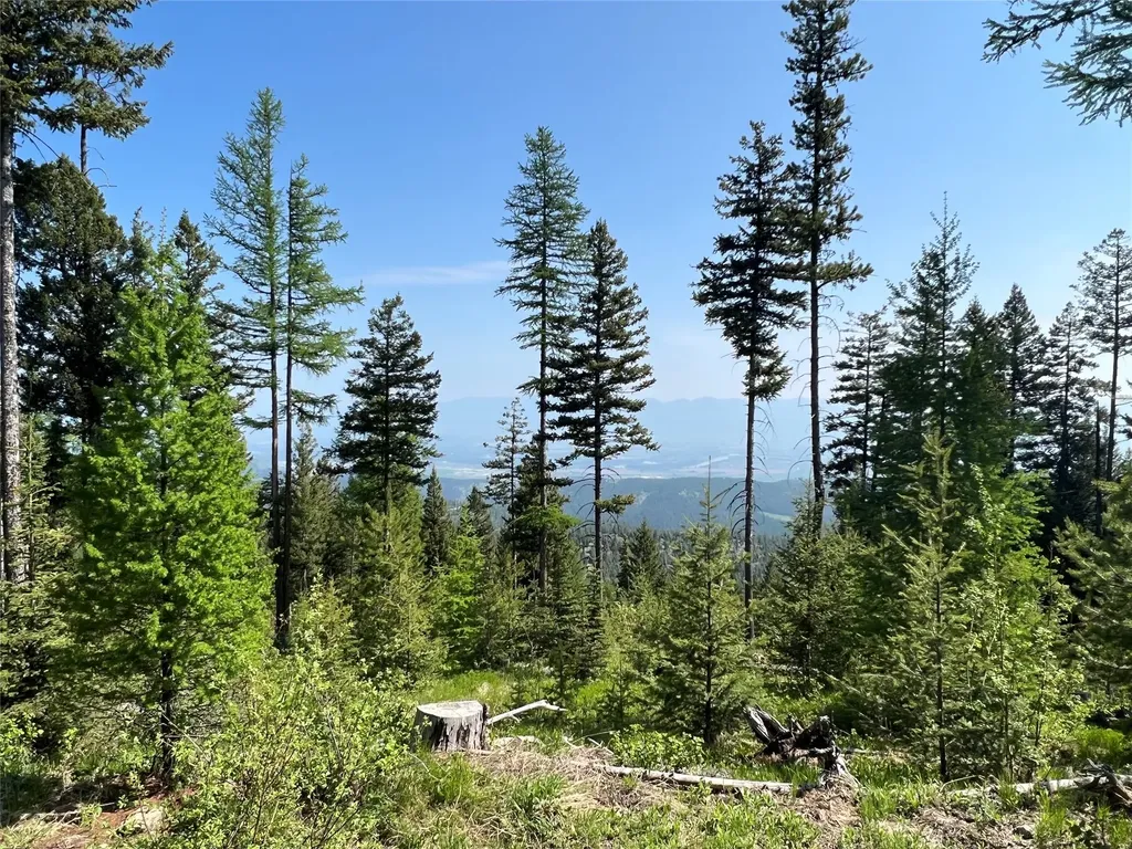 Nhn Emmons Canyon Road Kalispell MT 59901