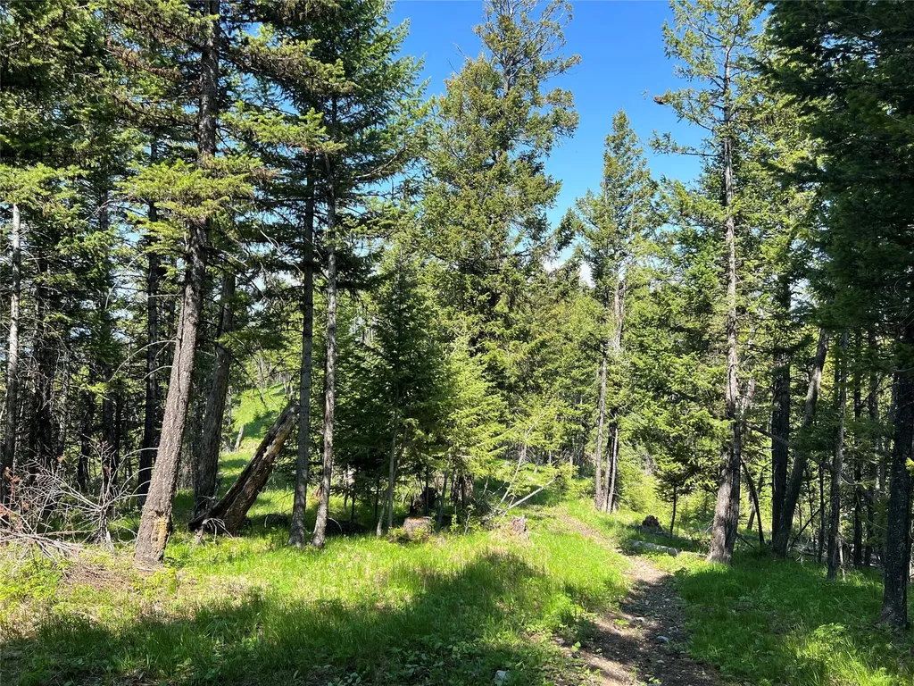 Nhn Emmons Canyon Road Kalispell MT 59901
