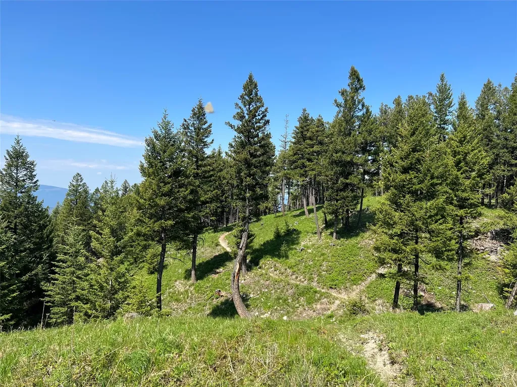 Nhn Emmons Canyon Road Kalispell MT 59901