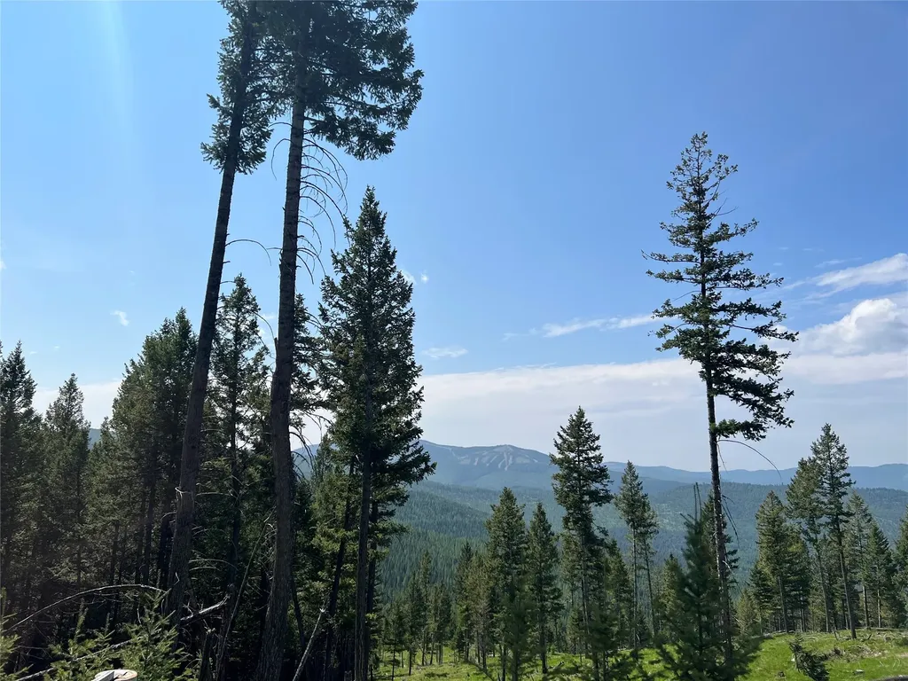 Nhn Emmons Canyon Road Kalispell MT 59901