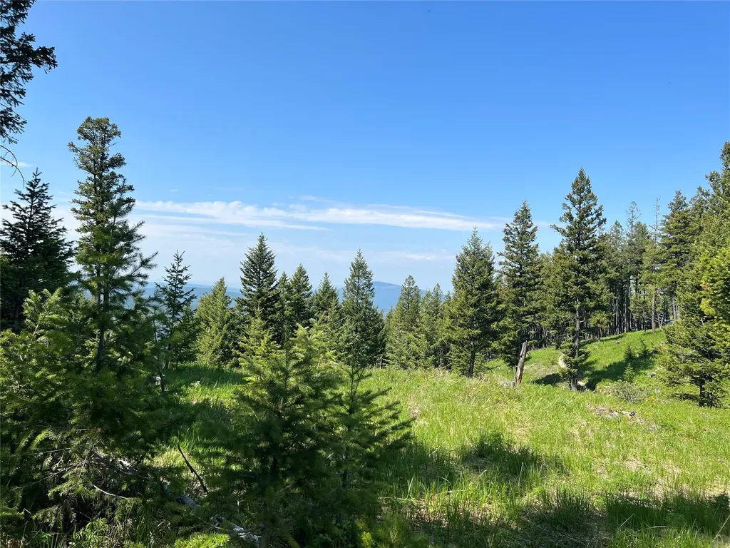 Nhn Emmons Canyon Road Kalispell MT 59901