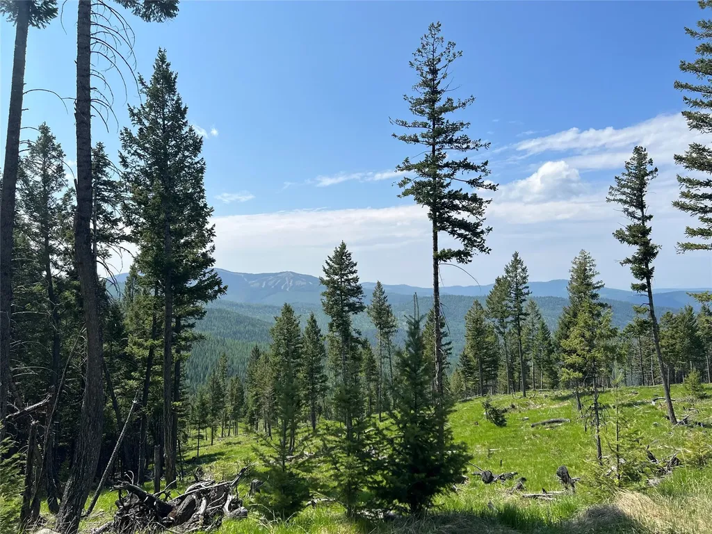 Nhn Emmons Canyon Road Kalispell MT 59901